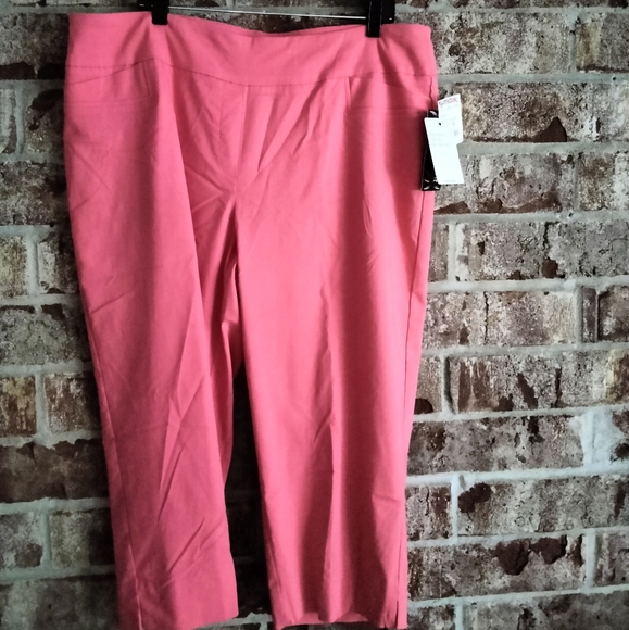 Plus Size Capris - Picture 3 of 3